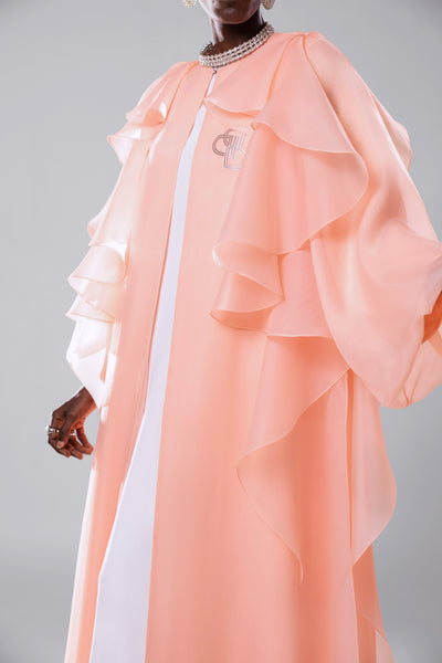 #color_peachpuff