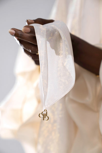 Rainbow Frost - Chiffon Scarf