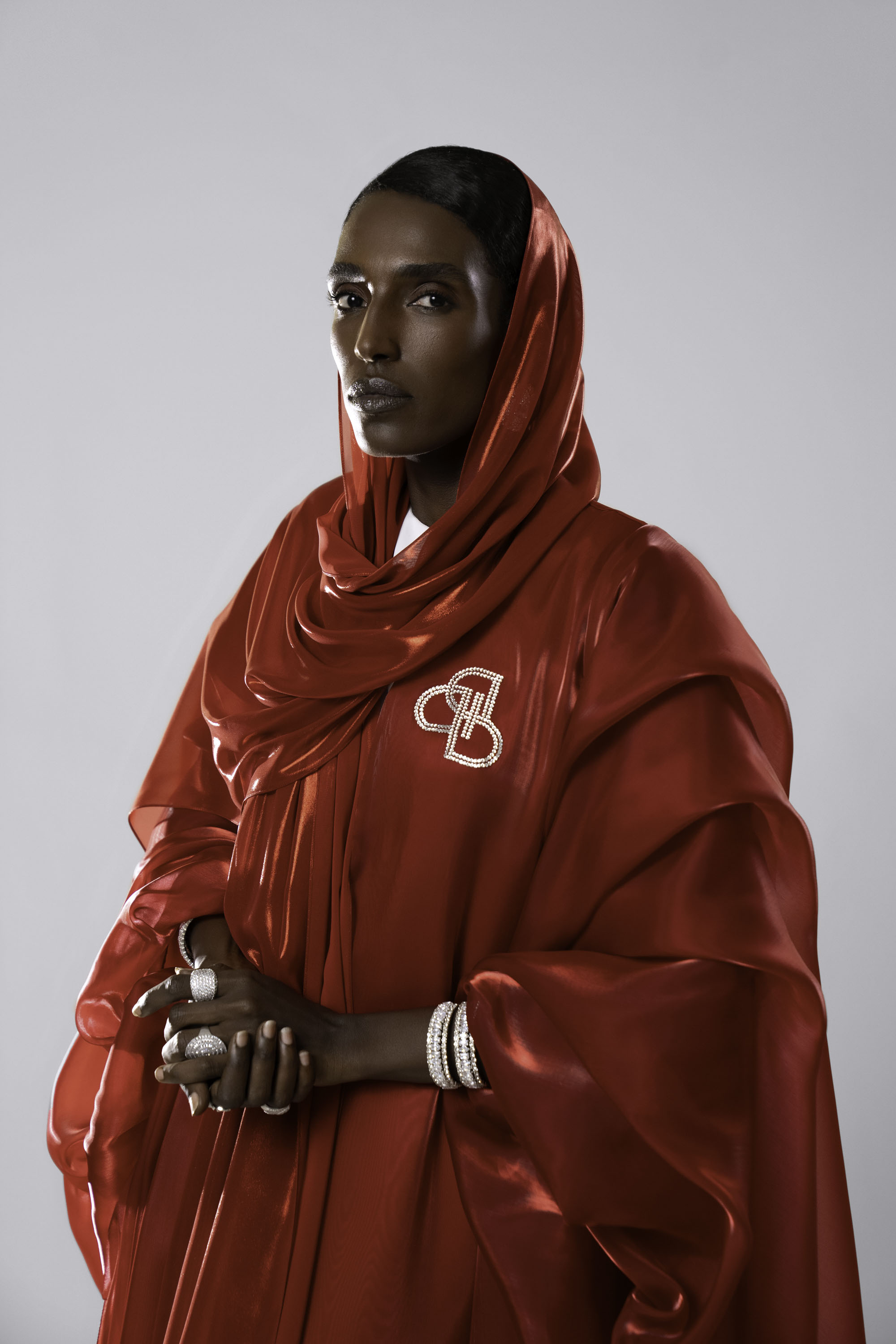 Red Frost - Chiffon Scarf